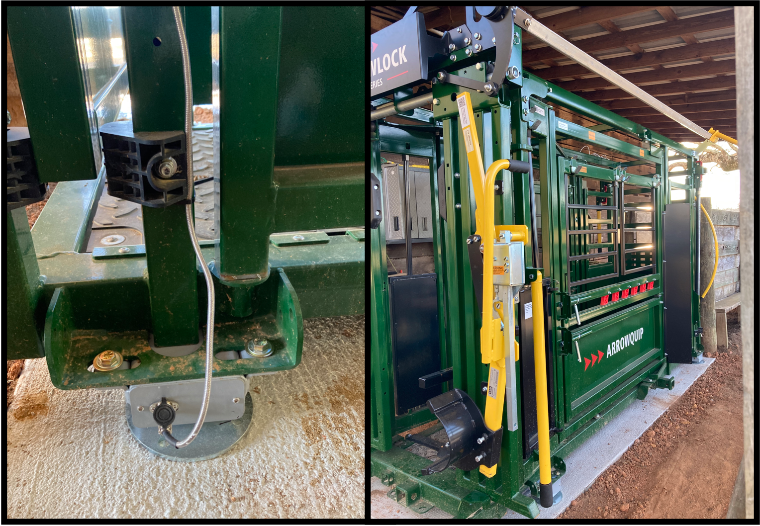 Weighing Livestock with Precision: How SellEton’s SL-919-HD-40” Load Bars Work Seamlessly with ArrowQuip Chutes