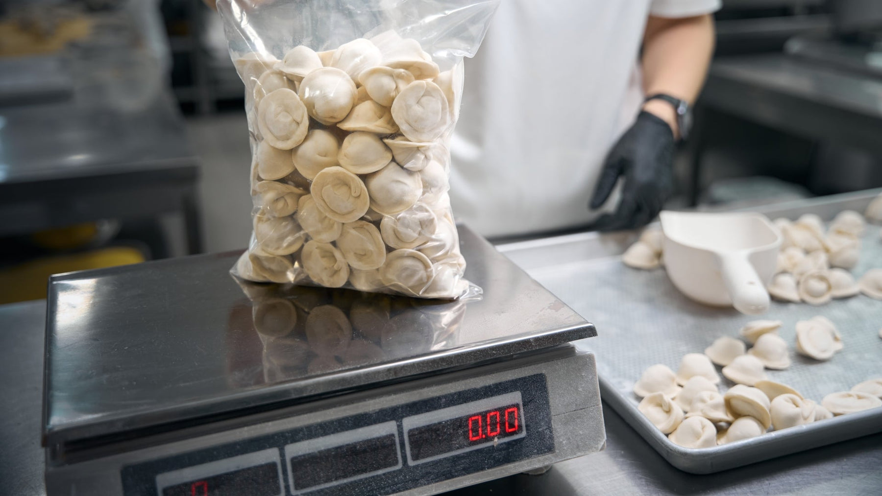 Top Cold Storage Scales for Accurate and Reliable Weighing