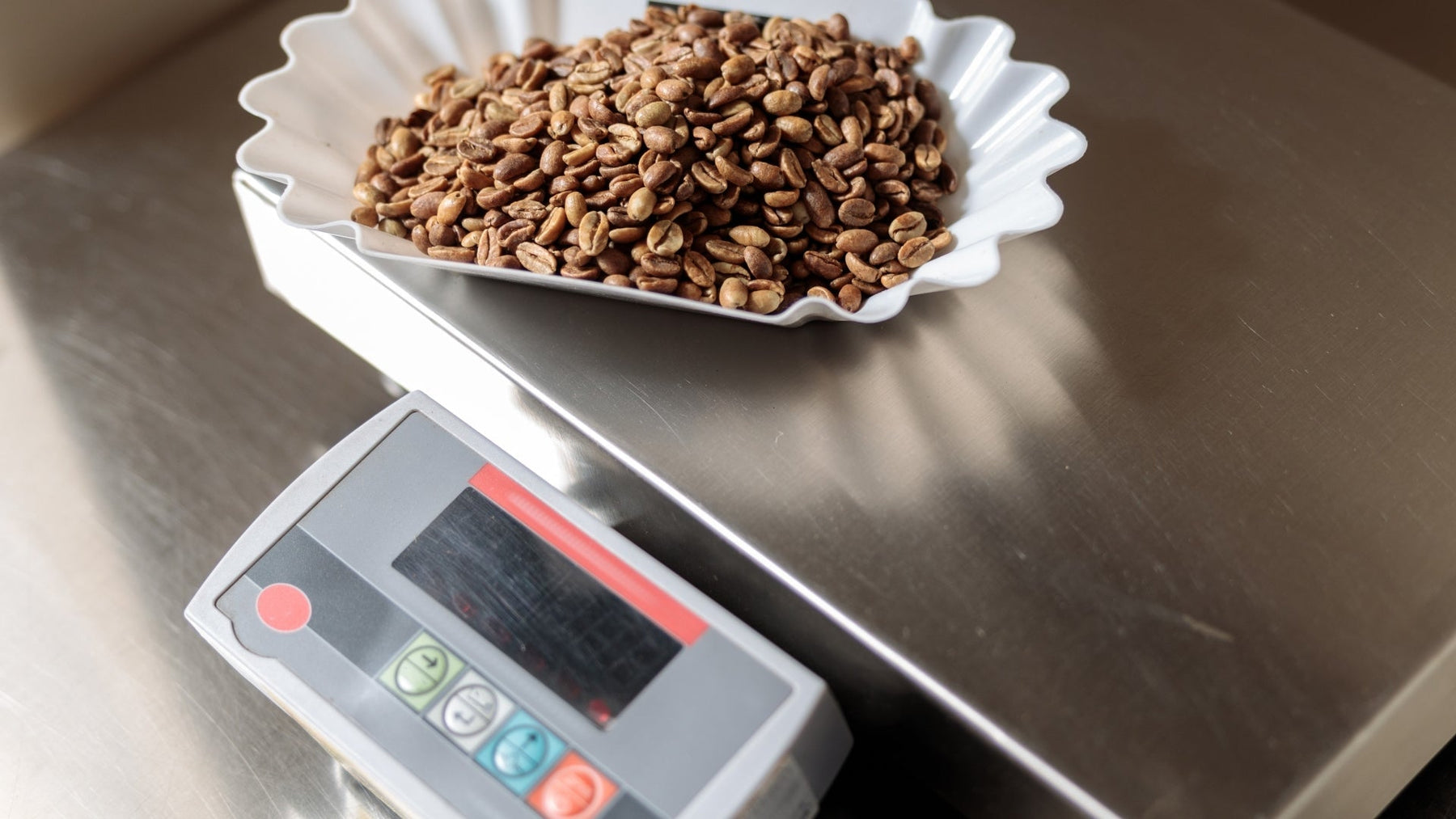 Waterproof Weighing Scales