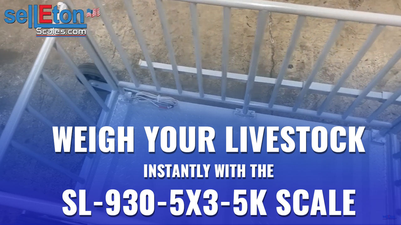 SL-930-5x3-5k Livestock Weighing System Scale