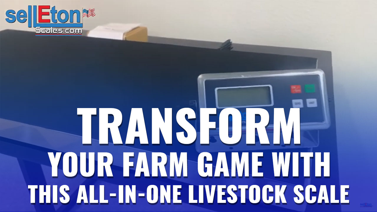 SL-922 Vet Scale Livestock Scale Hog Scale Goat Sheep Alpaca Pig Farm Scale