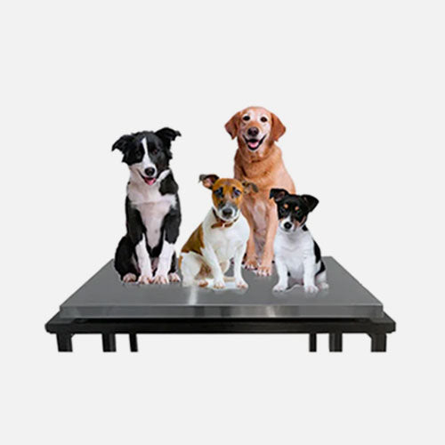 Premium Scales for Agriculture and Livestock Applications
