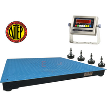 Load image into Gallery viewer, SellEton SL-800-5x5-5 NTEP 4-20 MA Analog out put System with 60" x 60" floor scale 5000 lb x 1 lb