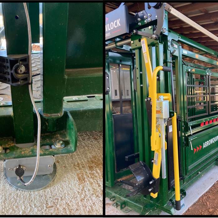 Weighing Livestock with Precision: How SellEton’s SL-919-HD-40” Load Bars Work Seamlessly with ArrowQuip Chutes