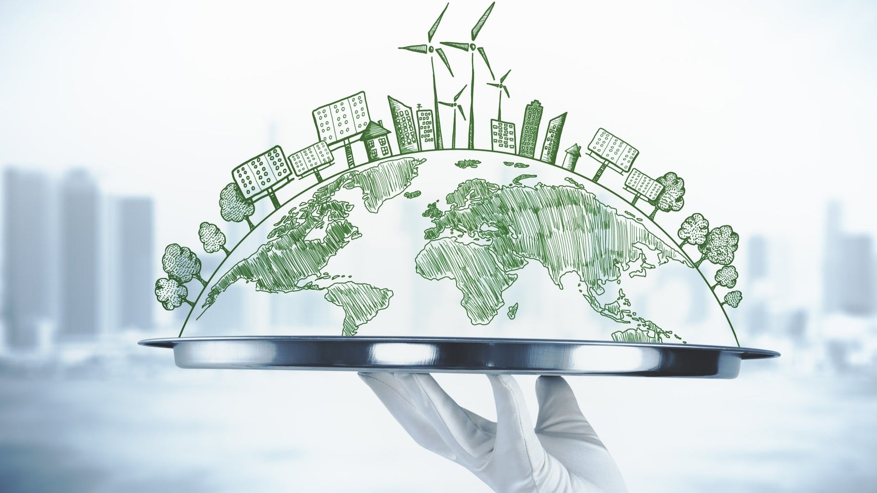 Environmental Regulation Scale: How to Certify Scales for Green Compliance