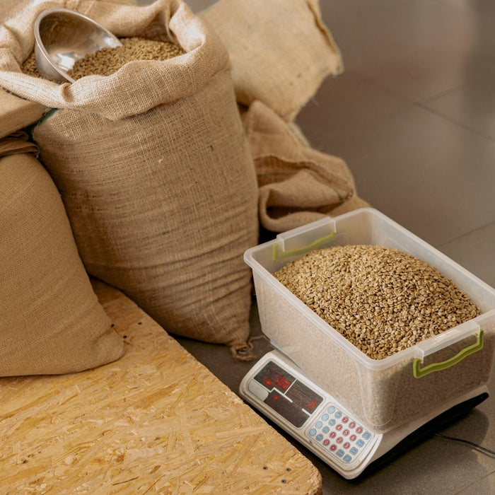 Optimizing Warehouse Efficiency with the Best Return Prevention Scale