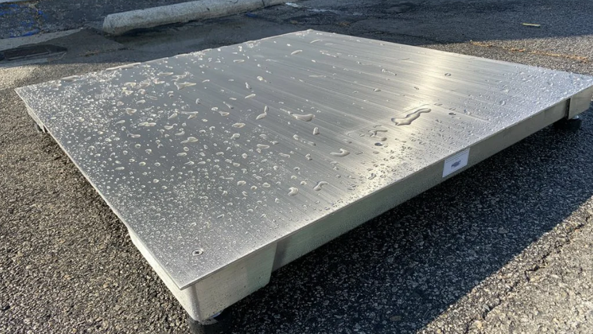 Top Waterproof Scale Options for Reliable Performance in Wet Conditions