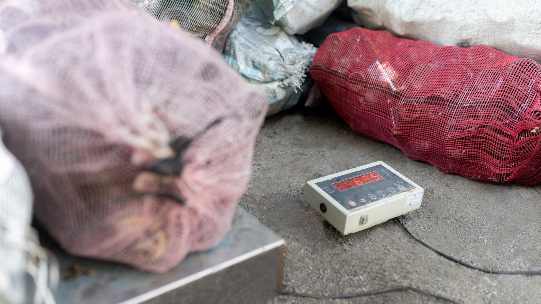 Waste Tracking Scale: How to Track Waste Reduction with Digital Scales