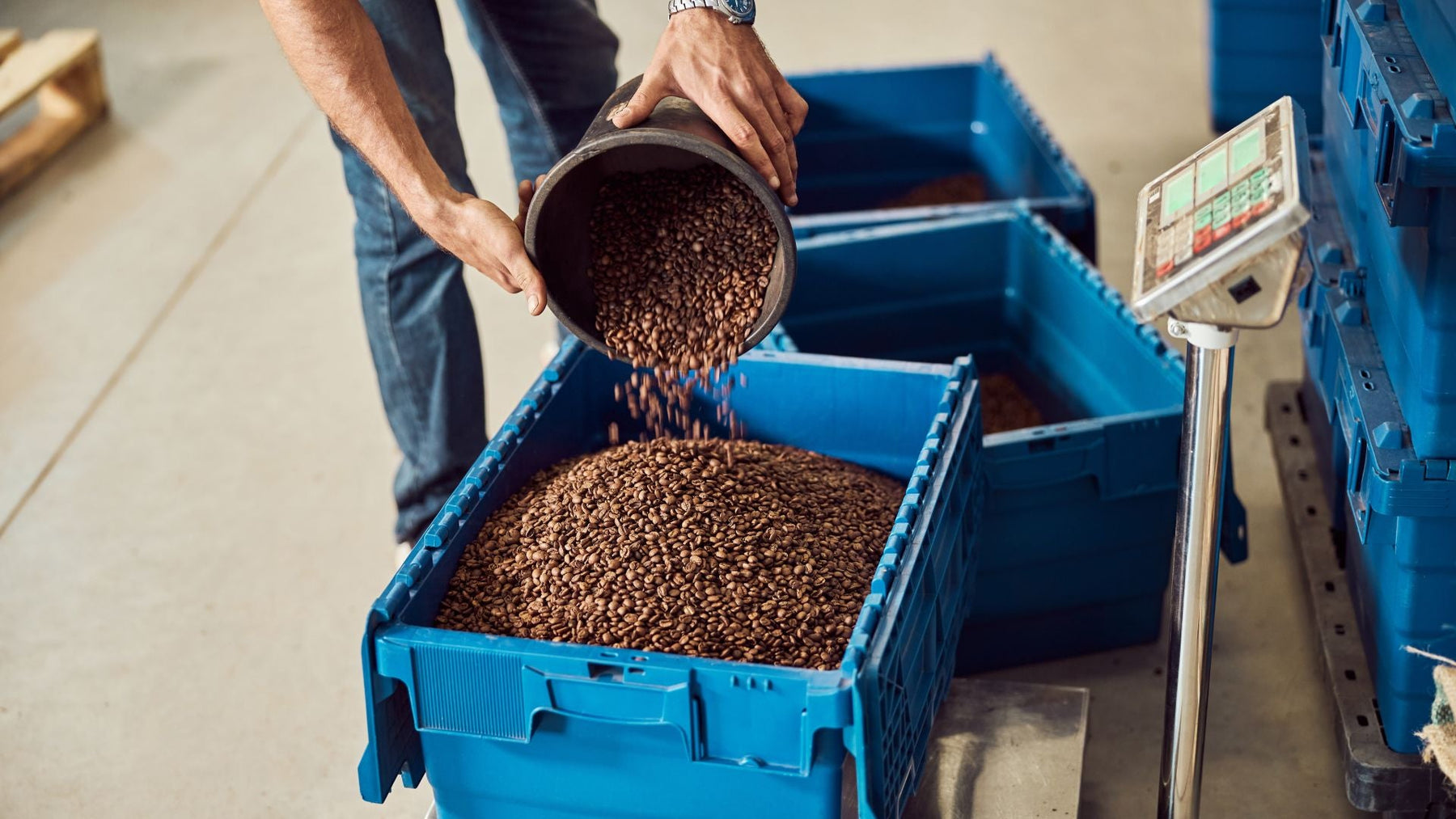 Weigh Scales for Commercial and Industrial Operations: A Buyer's Guide to Compliance and Precision