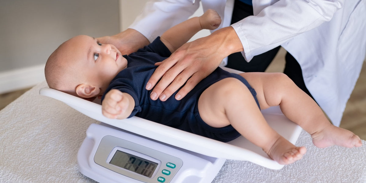 Choosing the Best Infant Scale for Accurate Newborn Weight Measurement ...