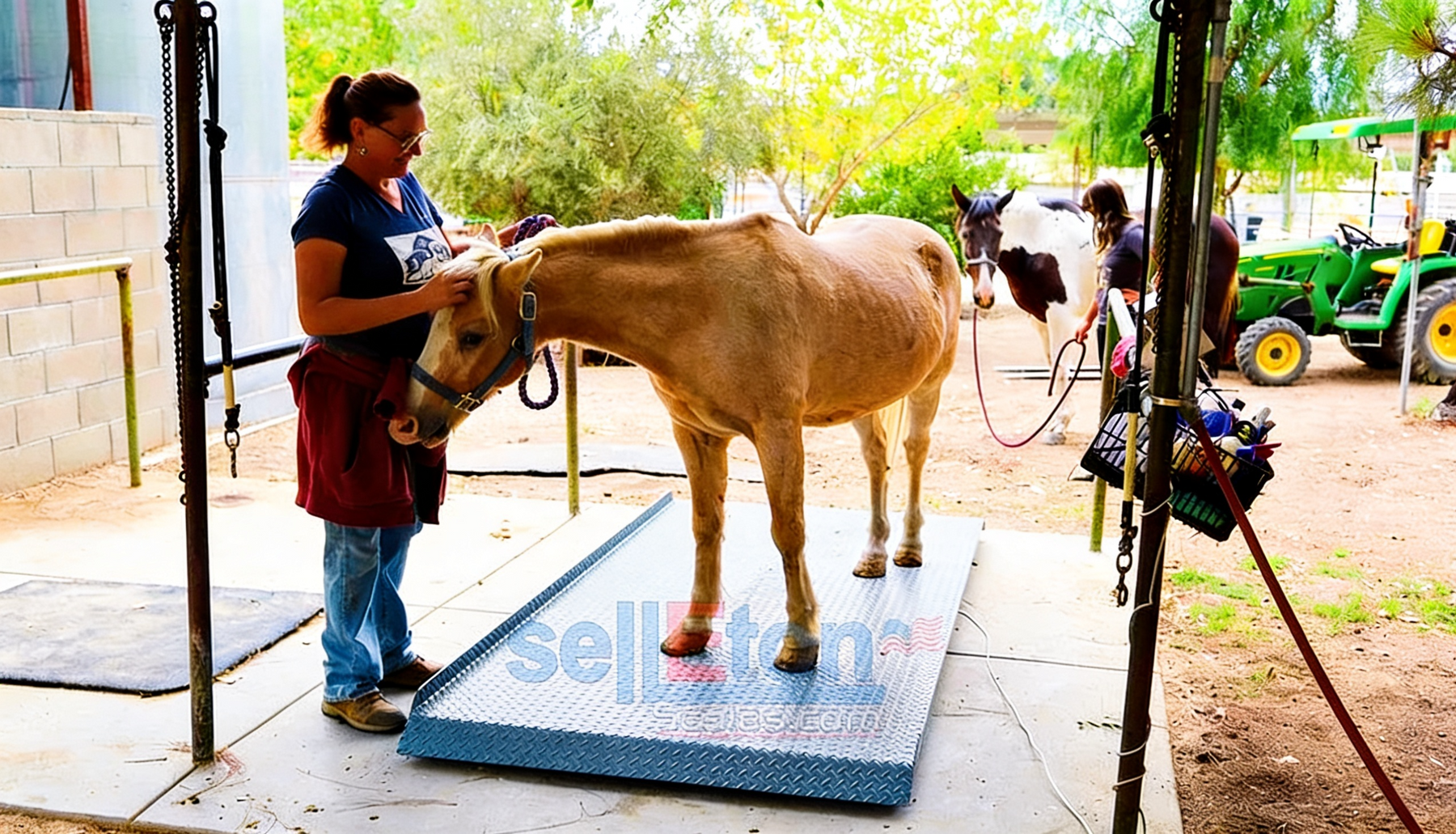 Livestock Weigh Scales: Engineering Precision for Cattle, Hog, and Sheep Operations