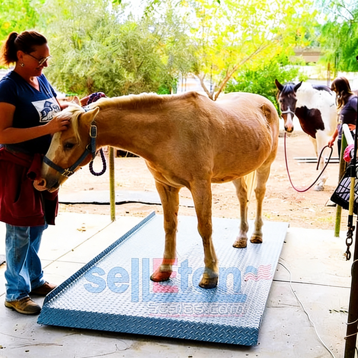 Livestock Weigh Scales: Engineering Precision for Cattle, Hog, and Sheep Operations