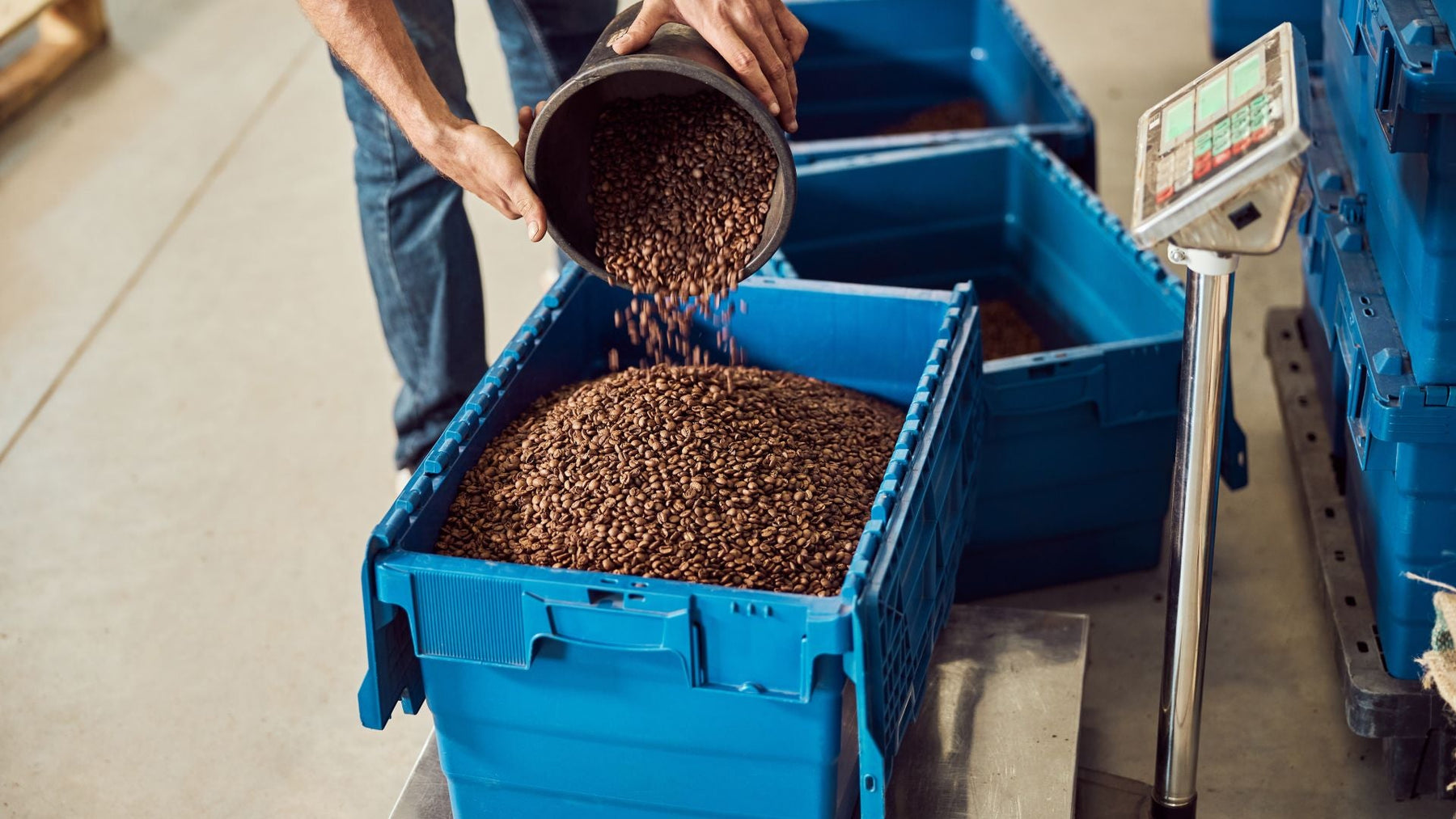 Weigh Scales for Commercial and Industrial Operations: A Buyer's Guide to Compliance and Precision