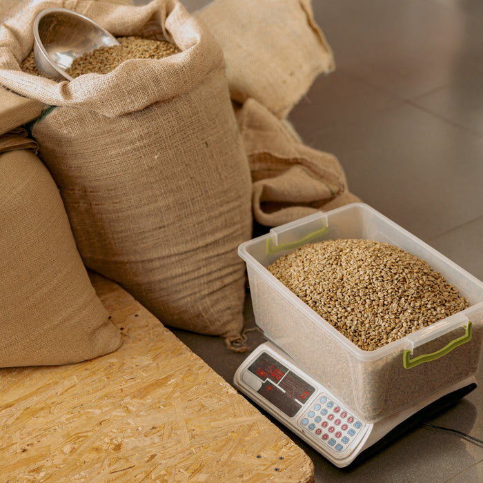 Weigh Scales: Choosing the Right Commercial Weighing System for Compliance, Precision, and Throughput