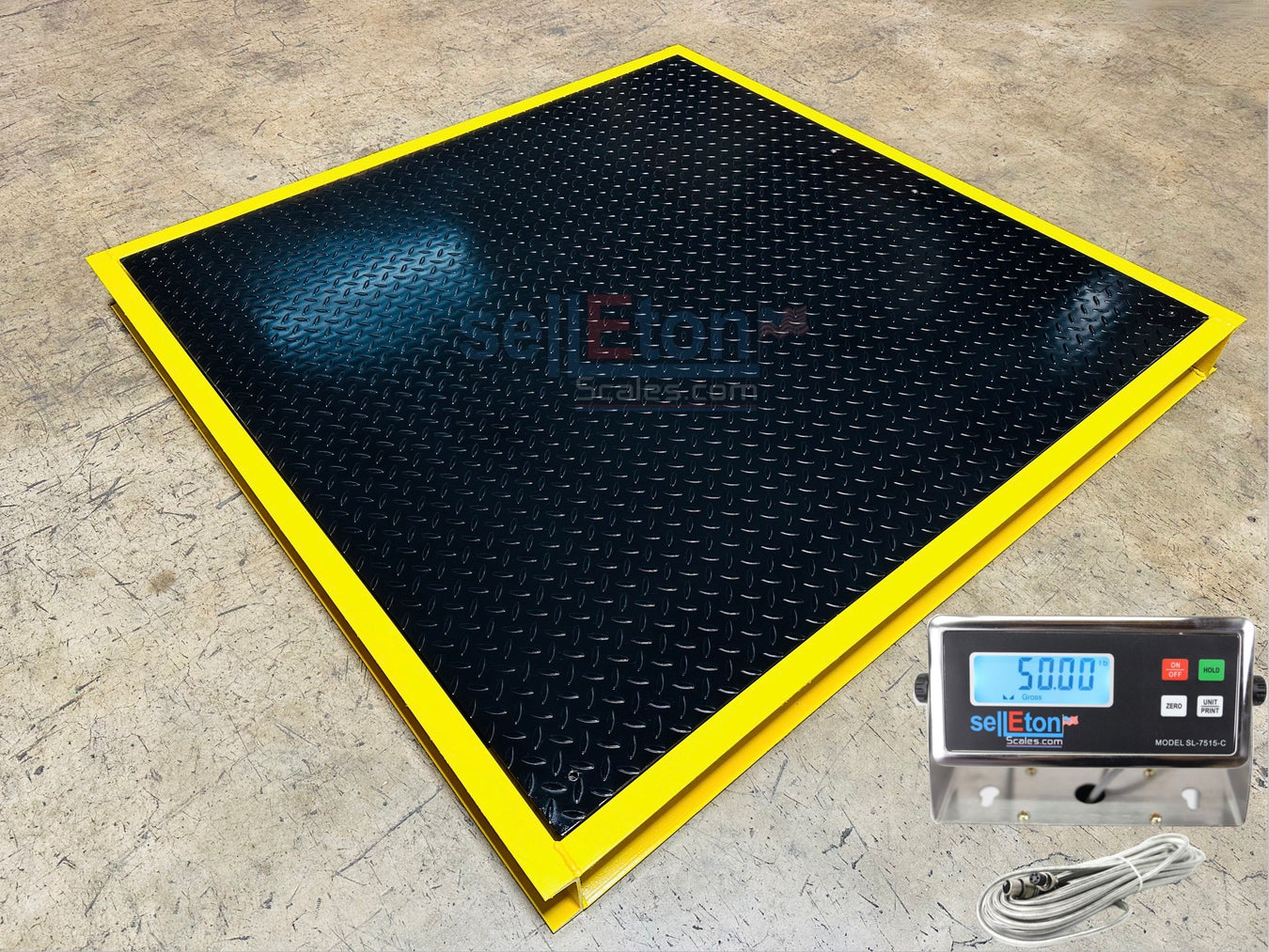 Floor Scales with Pit Frame