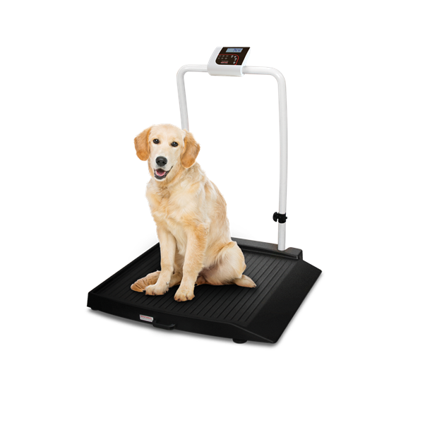 Rice Lake VS-34 Single-ramp with Handrail Companion Animal Scale