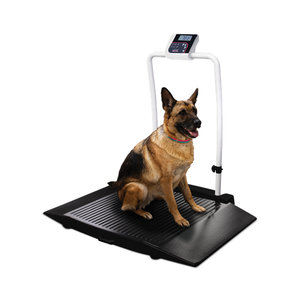 Rice Lake VS-35 Dual-ramp with Handrail Companion Animal Scale