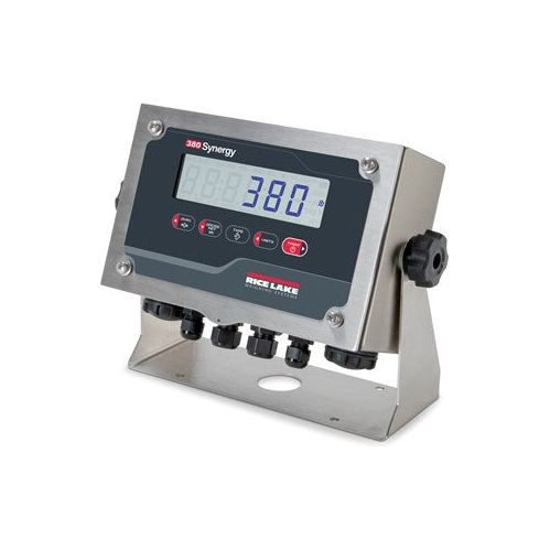 380 Synergy Series Digital Weight Indicator