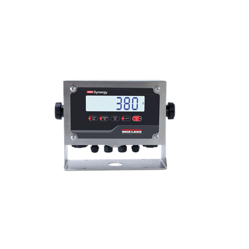 RoughDeck® Rough-n-Ready System, Floor Scale and 380 Indicator