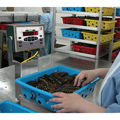 CW-90X Over/Under Washdown Checkweigher