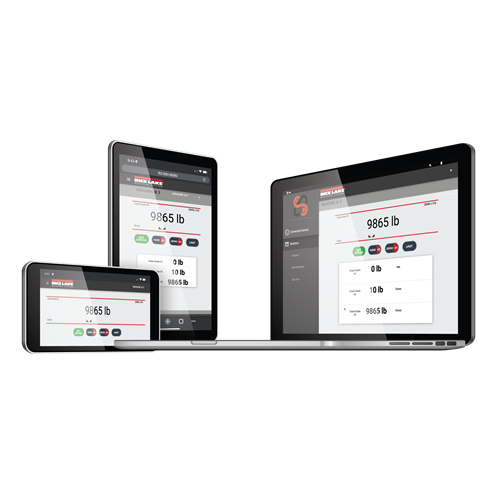MSI ScaleCore Webserver
