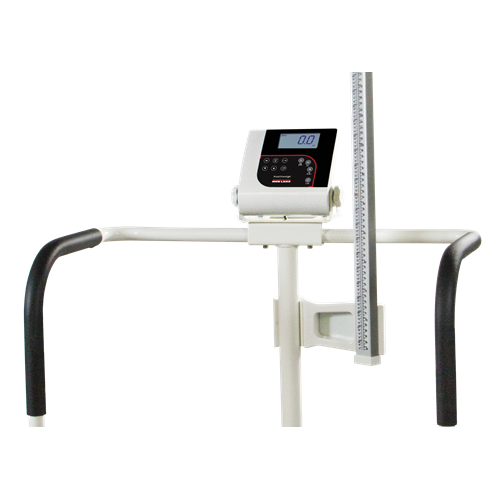 260-10-1 Bariatric Handrail Scale