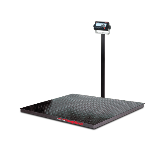 RoughDeck® Rough-n-Ready System, Floor Scale and 381 Indicator