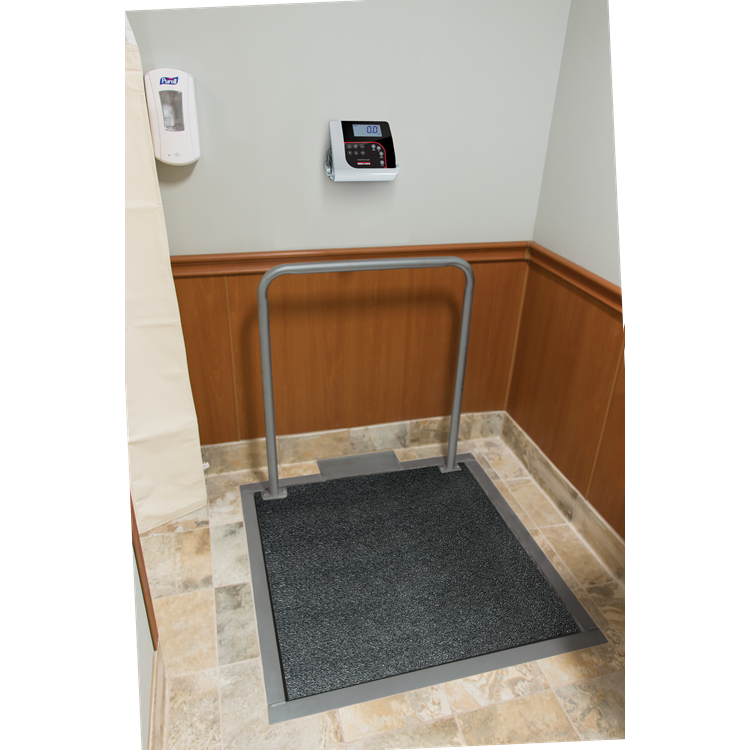 Rice Lake VS-37 In Floor Large Animal Scale