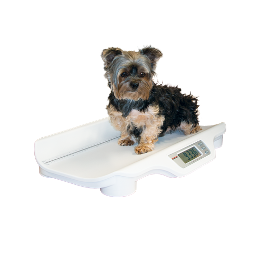 Rice Lake VS-11 Dual Range Digital Companion Animal Scale