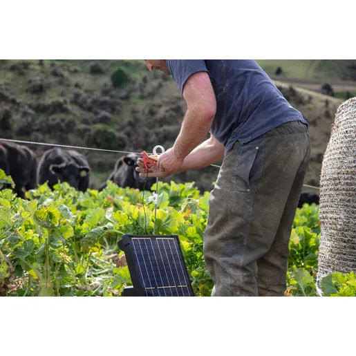 S200 Solar Fence Energizer