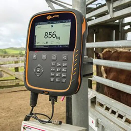 TWR-1 Weigh Scale & Reader