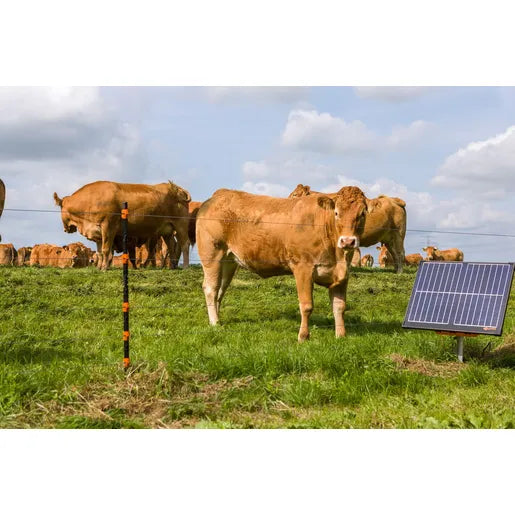 S400 Solar Fence Energizer