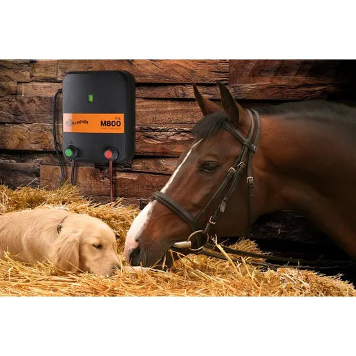 M800 Mains Fence Energizer