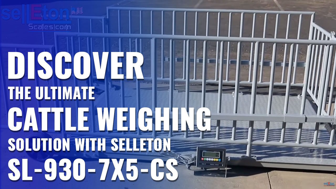 SellEton SL-930-7x5-CS Cage System 5' x 7' Platform Scale for Cattle, Sheep, Hogs & Much More!