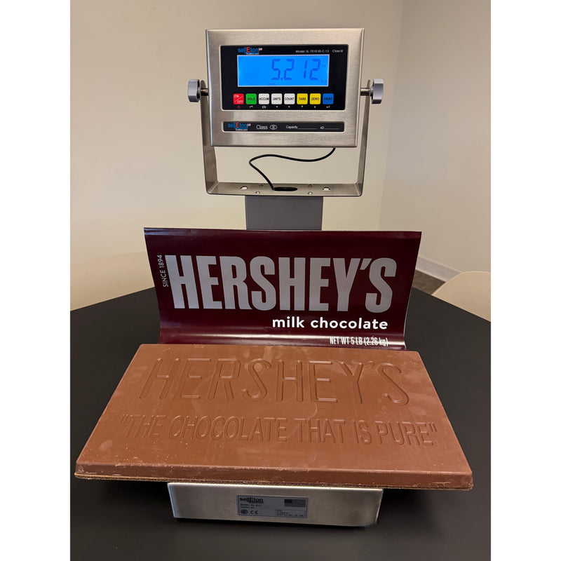 SL-915-SS-HP NTEP Stainless Steel Table top 10" x 10” High Precision Bench Scale