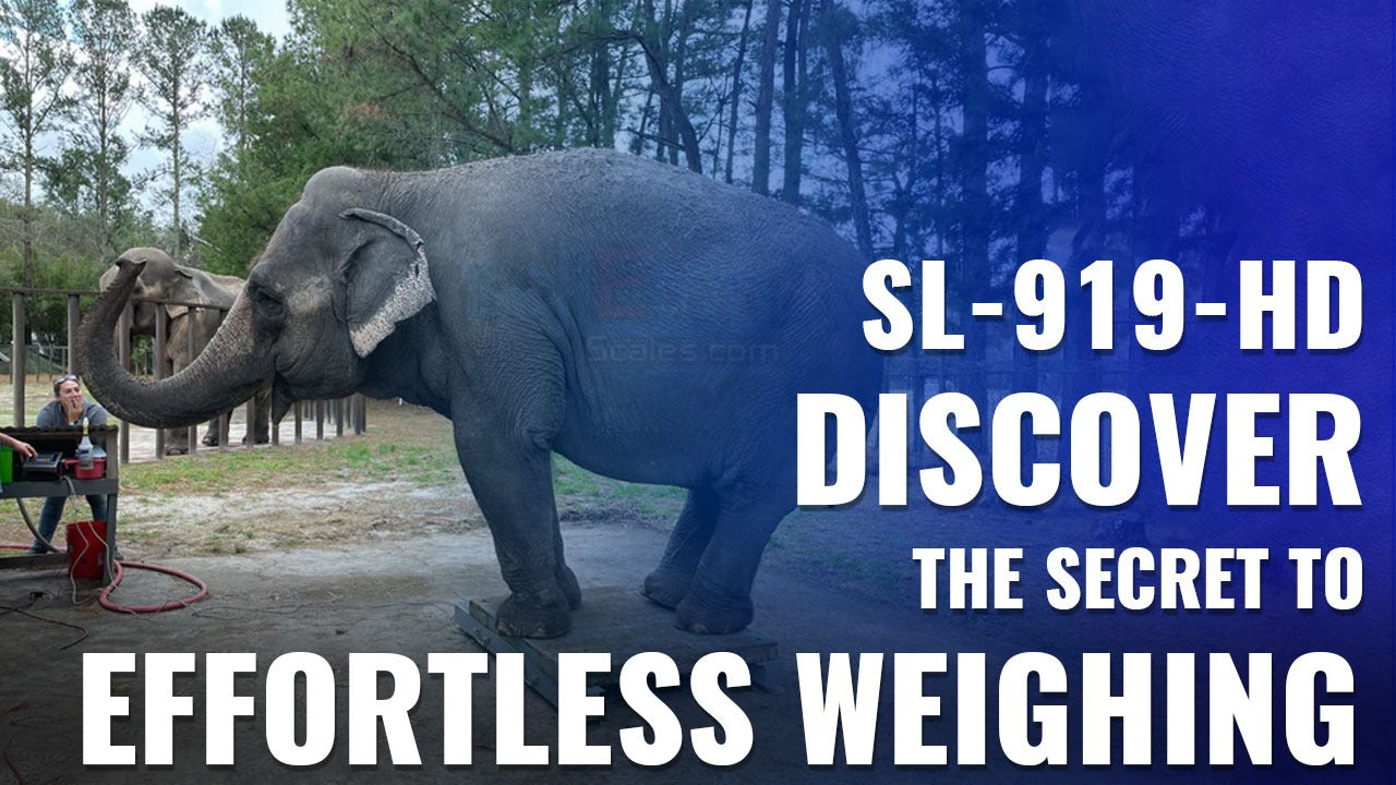 SellEton Scales SL-919-HD Heavy Duty Weigh Bars, Transform a Platform Into A Scale!