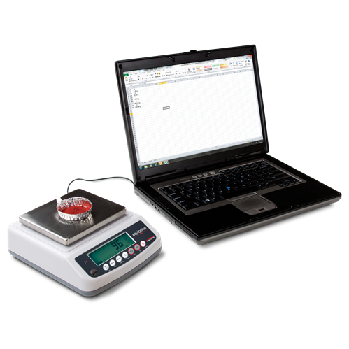 Equipoise Series, Rice Lake Toploader Balance