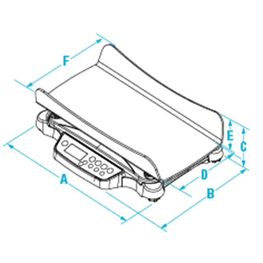650-10-1 Neonatal Scale