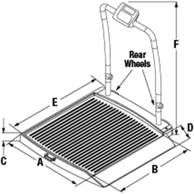 Rice Lake VS-34 Single-ramp with Handrail Companion Animal Scale