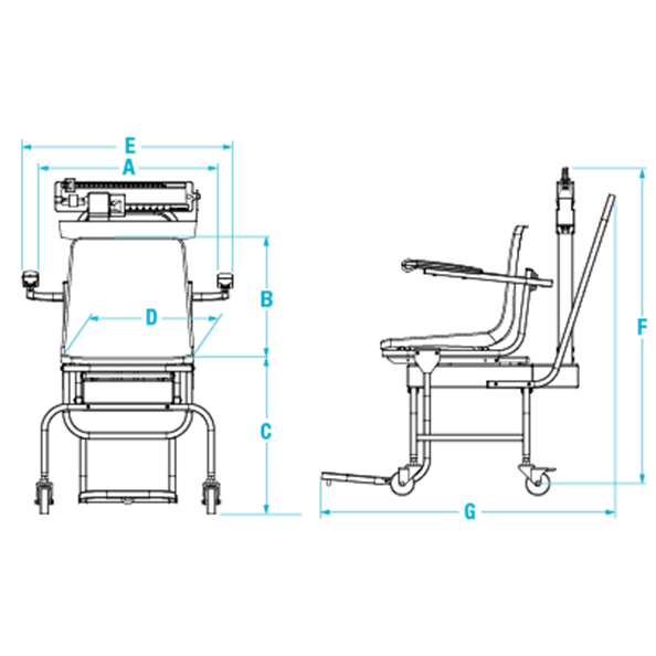 Rice Lake Mechanical Chair Scale
