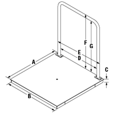 Rice Lake VS-37 In Floor Large Animal Scale
