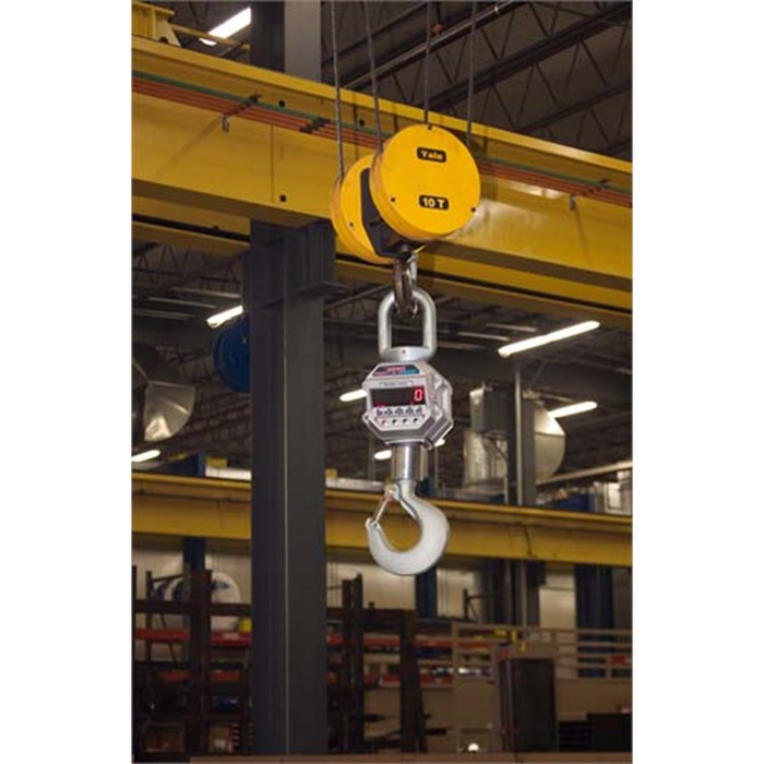 MSI-4260 IS Intrinsically Safe Crane Scale
