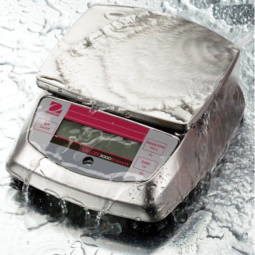 Valor® 3000 Xtreme Series, OHAUS Washdown Balance