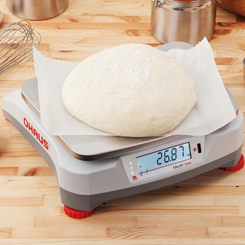 Valor 7000 Series, OHAUS Legal for Trade Balance