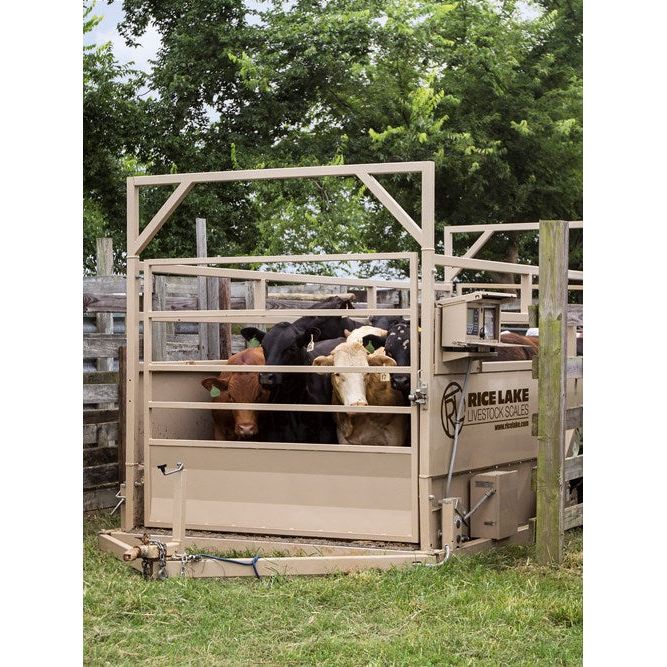 MAS-M Mobile Animal Scale