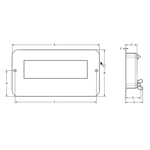 Tracer® AV2 Baggage Weighing Instrumentation