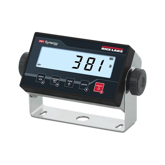 RoughDeck® Rough-n-Ready System, Floor Scale and 381 Indicator
