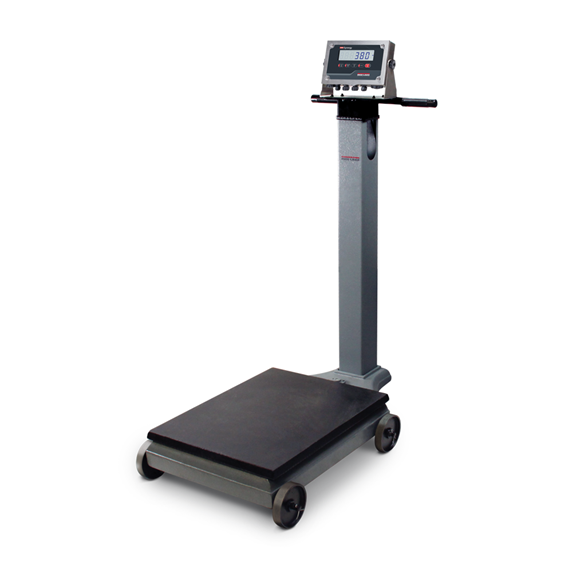 Rice Lake Portable Beam Scale