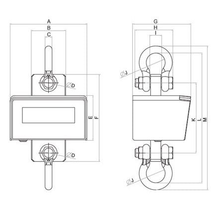 RL101 Below-the-hook Scale