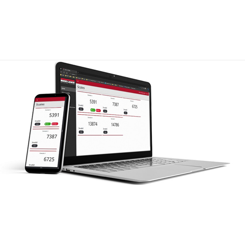 RL Web Display Remote Scale Monitoring Software | Rice Lake